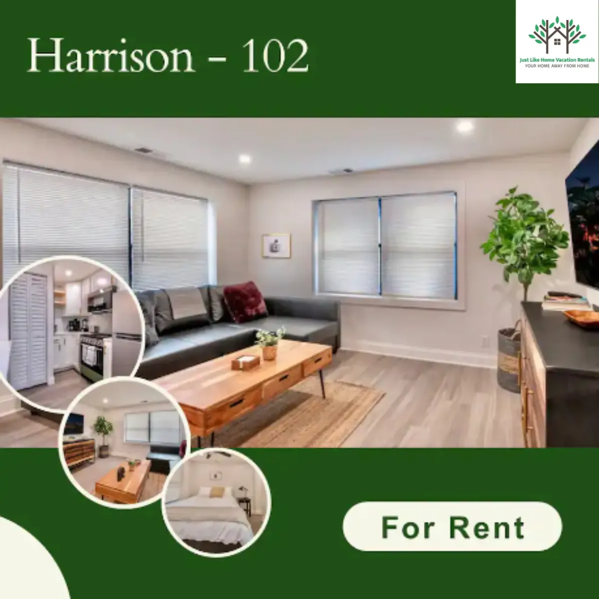 The hero image features a cozy and sunlit living room with a plush sofa, stylish coffee table, large windows flooding the space with natural light, a leafy plant adding a touch of greenery, and a wall-mounted television. The modern decor and open-concept layout invite guests to relax, enjoy quiet mornings, or gather for an evening in.